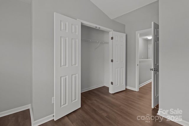 closet with lofted ceiling, dark wood-type flooring, and a closet