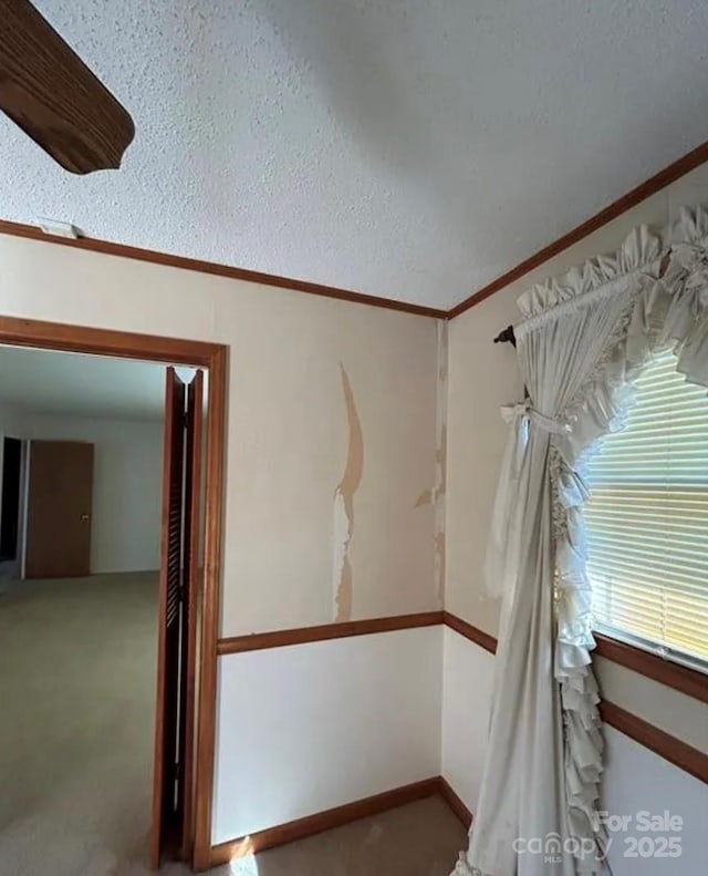 interior space featuring crown molding, carpet floors, and a textured ceiling