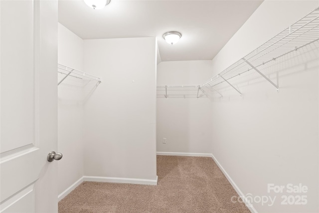 walk in closet featuring light carpet