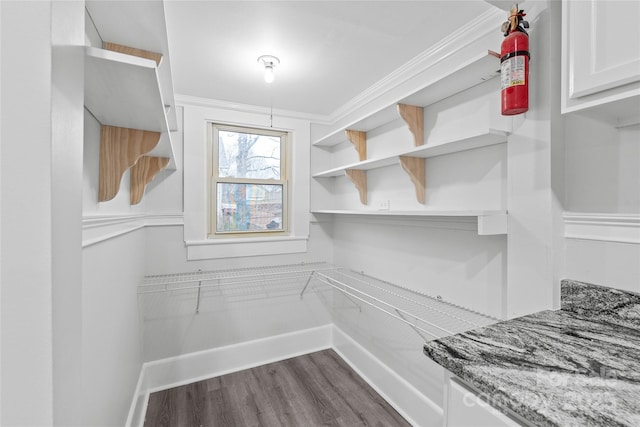 pantry featuring dark hardwood / wood-style flooring