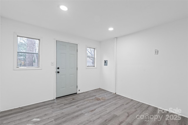 entryway featuring light hardwood / wood-style flooring and plenty of natural light