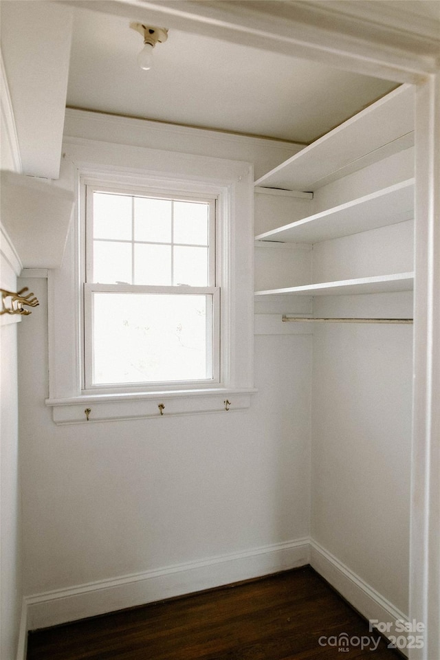 walk in closet with dark wood-style flooring