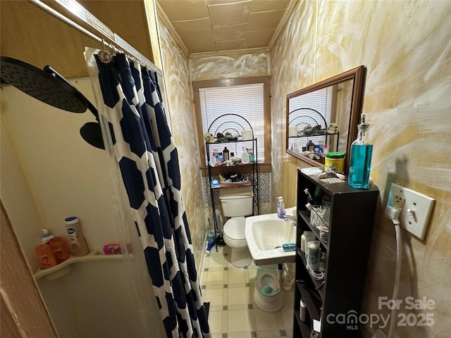 bathroom with sink, a shower with curtain, and toilet