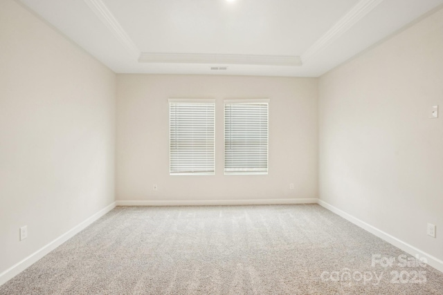 empty room featuring crown molding, carpet floors, and a raised ceiling