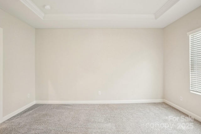 spare room featuring crown molding, a tray ceiling, and carpet floors