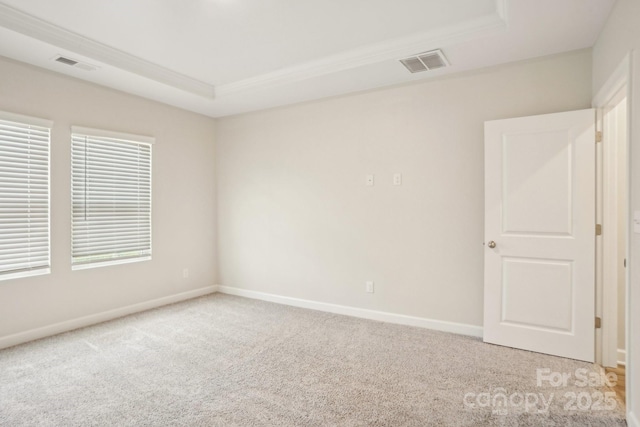 carpeted spare room featuring a raised ceiling