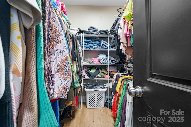 walk in closet with hardwood / wood-style flooring