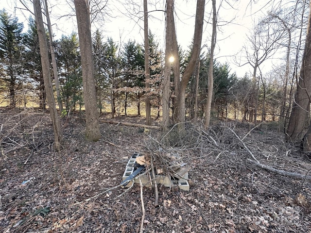 view of local wilderness