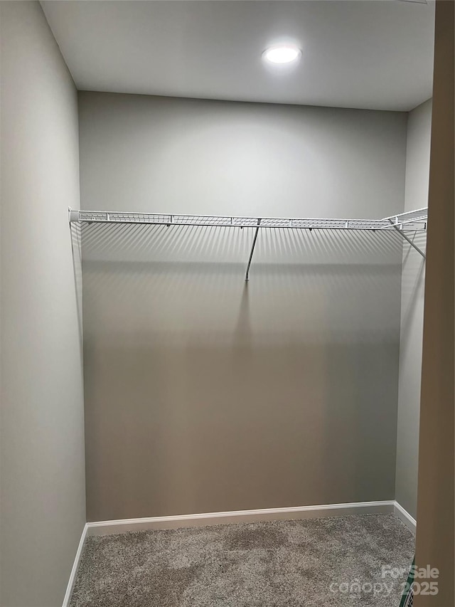 9103 Exbury Ct, Charlotte, NC 28269 - spacious closet featuring carpet flooring