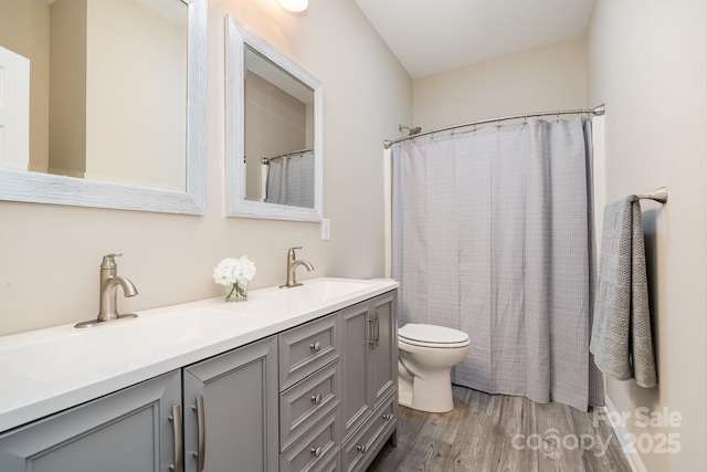 bathroom with vanity, hardwood / wood-style floors, and toilet