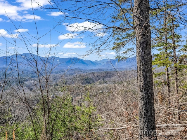 0 Bills Mountain Trail 7, Lake Lure NC, 28746 land for sale