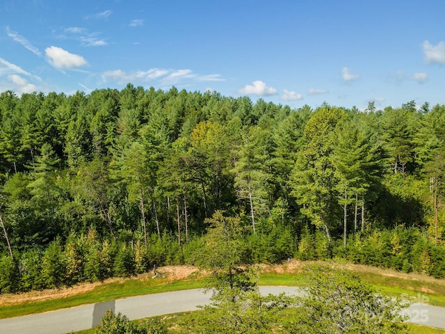 Listing photo 3 for 254 Peninsula Reserve Rd, Nebo NC 28761