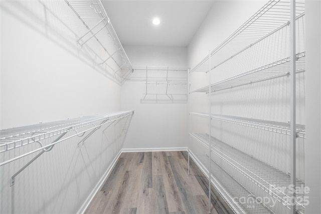 spacious closet featuring wood finished floors