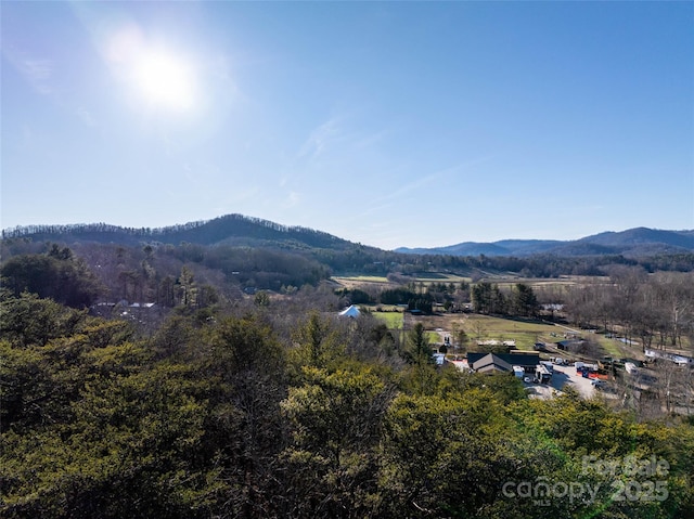 477 Rowland Rd, Swannanoa NC, 28778 land for sale