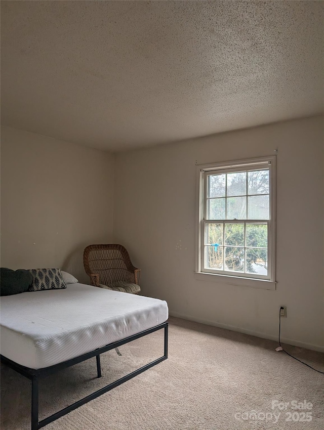 carpeted bedroom with a textured ceiling