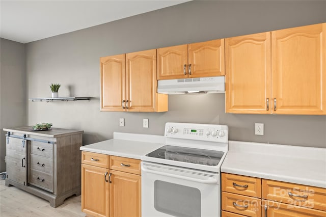 kitchen with electric range and light hardwood / wood-style flooring