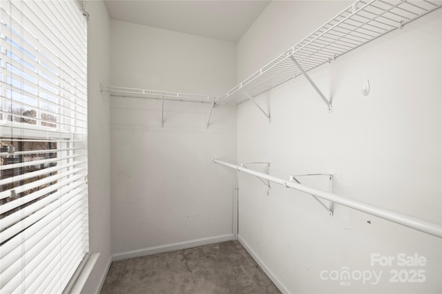 spacious closet with carpet flooring