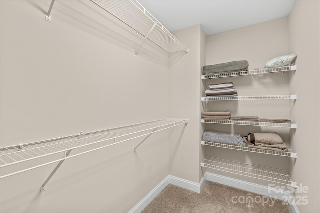 spacious closet with carpet flooring