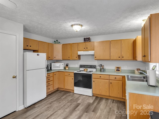 kitchen featuring light brown cabinetry, sink, a textured ceiling, white appliances, and light hardwood / wood-style floors