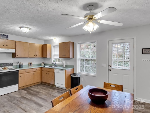 kitchen featuring range with electric stovetop, dishwasher, sink, light wood-type flooring, and a textured ceiling