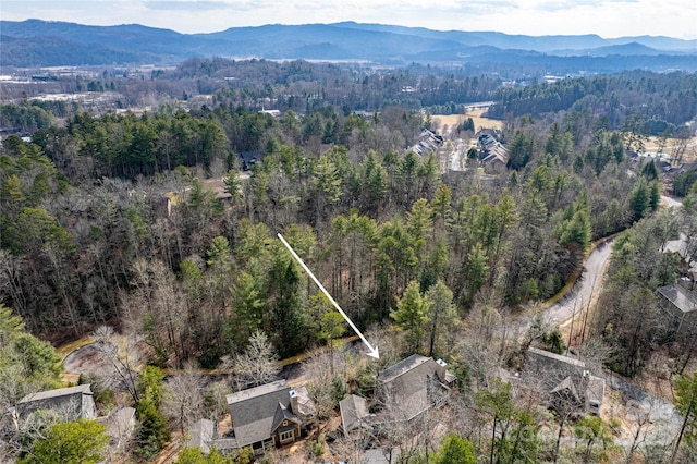 drone / aerial view with a view of trees and a mountain view