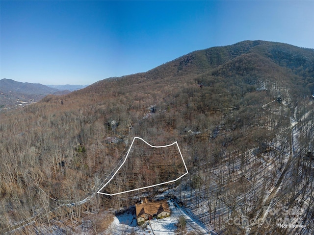 Listing photo 3 for 0 Sara Ridge Rd, Waynesville NC 28786