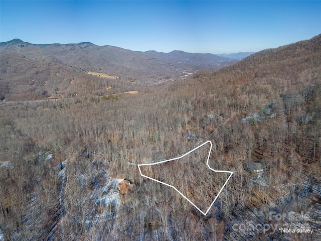 Listing photo 2 for 0 Sara Ridge Rd, Waynesville NC 28786