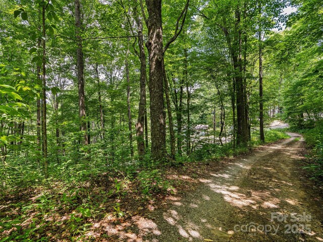 0 Sara Ridge Rd, Waynesville, NC 28786 - photo 15