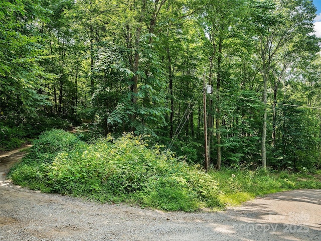 0 Sara Ridge Rd, Waynesville, NC 28786 - photo 18