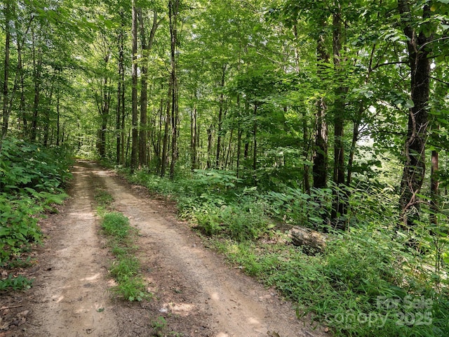 0 Sara Ridge Rd, Waynesville, NC 28786 - photo 19