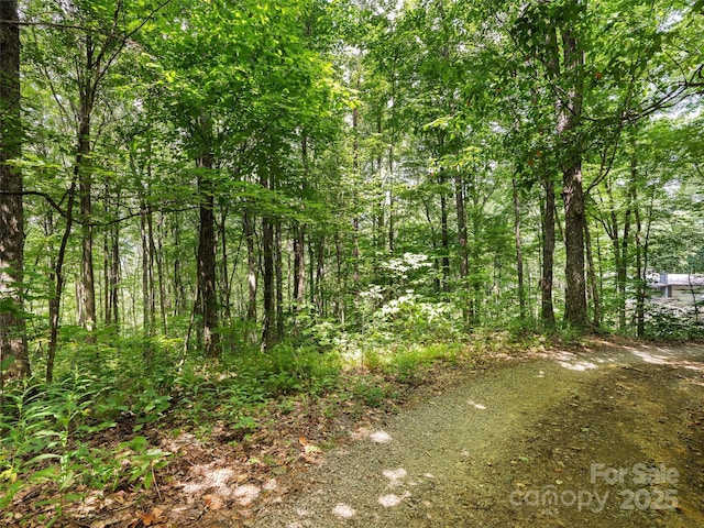 0 Sara Ridge Rd, Waynesville, NC 28786 - photo 20