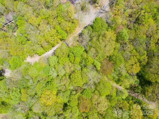 0 Sara Ridge Rd, Waynesville, NC 28786 - photo 21
