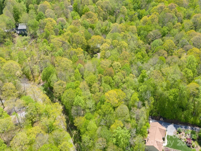 0 Sara Ridge Rd, Waynesville, NC 28786 - photo 22