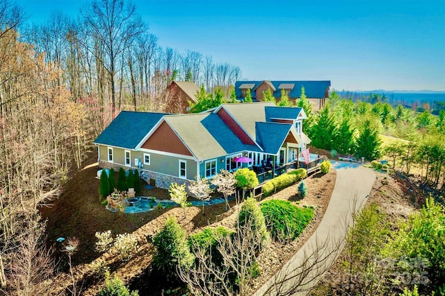 bird's eye view