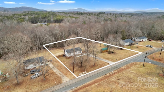 aerial view with a mountain view