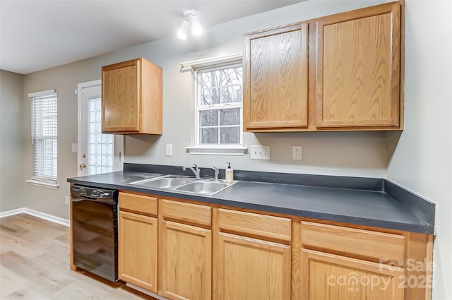 kitchen featuring a healthy amount of sunlight, sink, light hardwood / wood-style floors, and black dishwasher