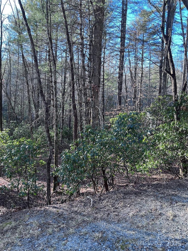 L76 Salola Ln, Brevard NC, 28712 land for sale