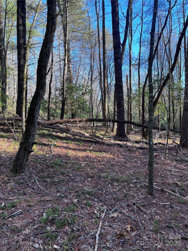 Listing photo 2 for L76 Salola Ln, Brevard NC 28712