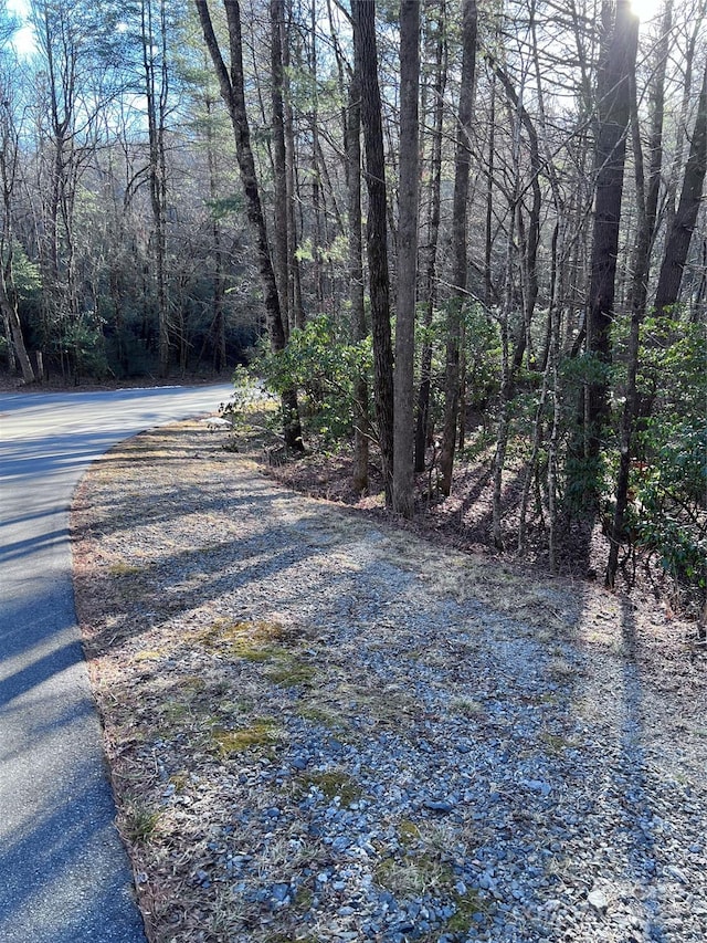 Listing photo 3 for L76 Salola Ln, Brevard NC 28712