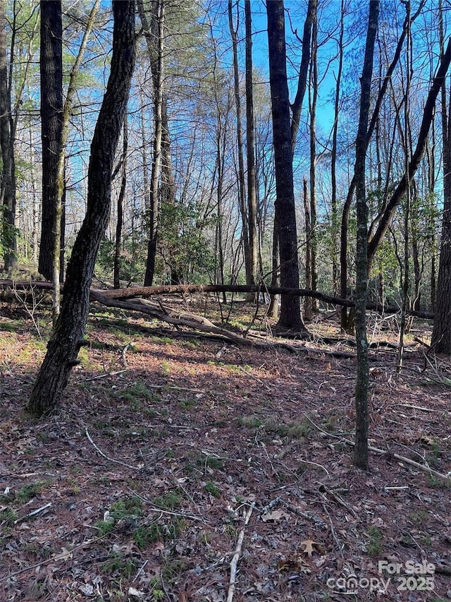 Listing photo 2 for L76 Salola Ln, Brevard NC 28712