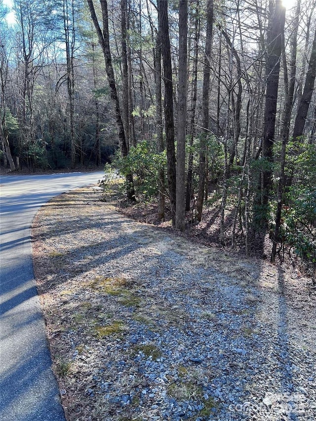 Listing photo 3 for L76 Salola Ln, Brevard NC 28712