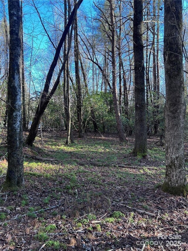 L76 Salola Ln, Brevard, NC 28712 - photo 4