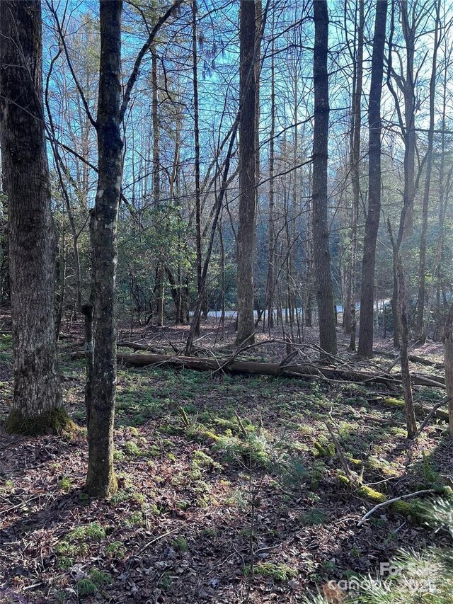 L76 Salola Ln, Brevard, NC 28712 - photo 5