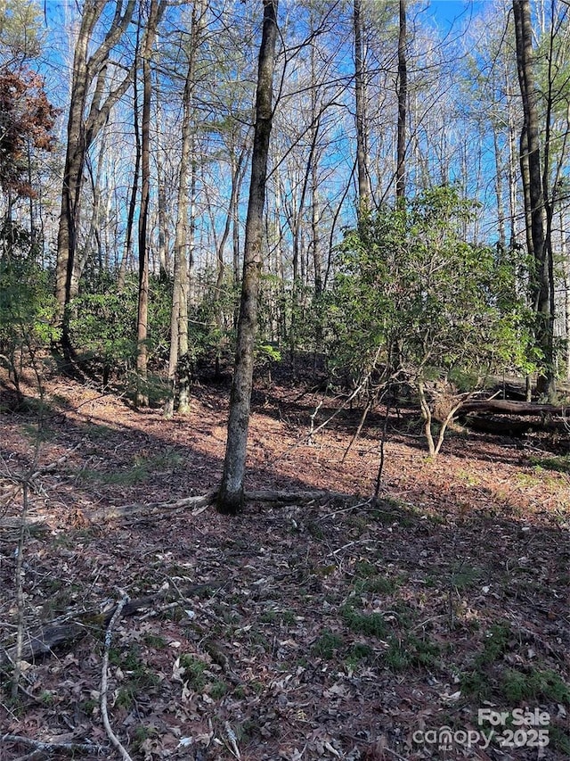 L76 Salola Ln, Brevard, NC 28712 - photo 6