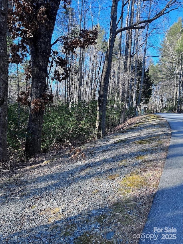 L76 Salola Ln, Brevard, NC 28712 - photo 8