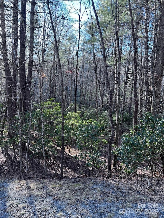 L76 Salola Ln, Brevard, NC 28712 - photo 9