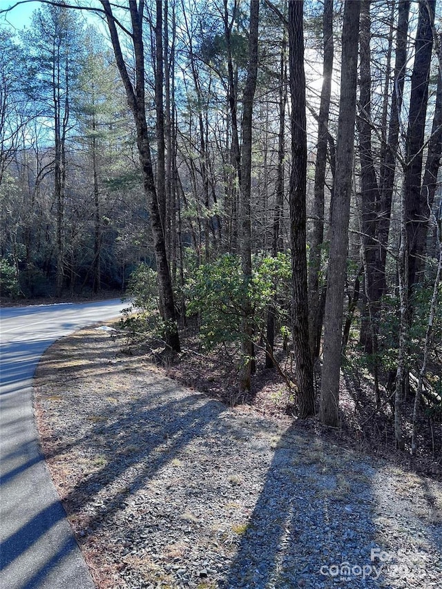 L76 Salola Ln, Brevard, NC 28712 - photo 10