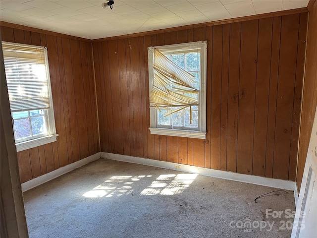 carpeted spare room featuring wood walls