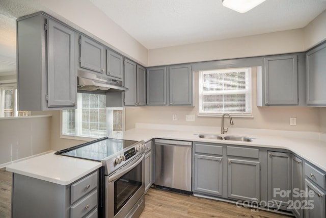 kitchen with stainless steel appliances, a wealth of natural light, sink, and gray cabinetry