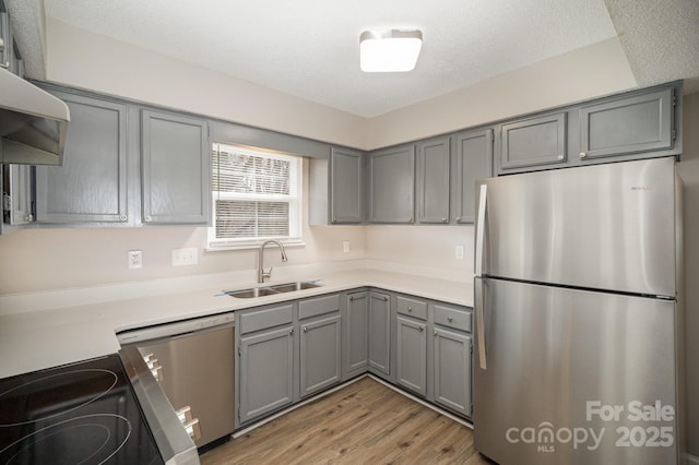 kitchen with stainless steel appliances, sink, light hardwood / wood-style flooring, and gray cabinets